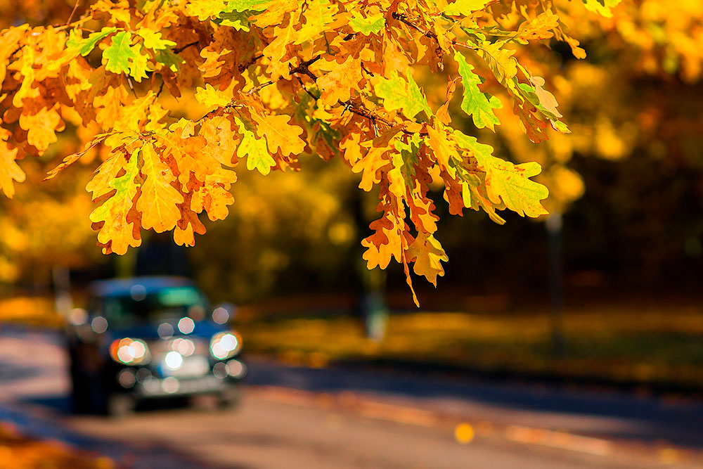 Preventive Maintenance Tips for Fall Car Care Month